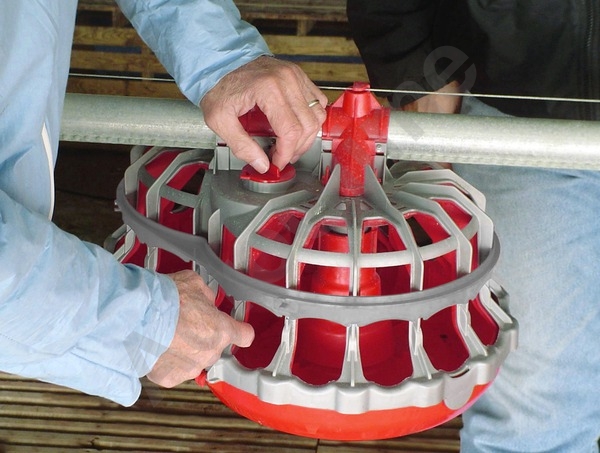 Можно регулировать ширину отверстий сетки для несушек в диапазоне 41—50 мм и высоту в диапазоне 55—75 мм, чтобы держать петухов снаружи.